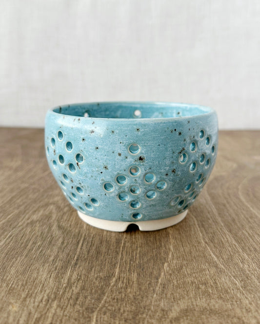 berry bowl - small